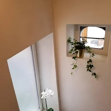 Maison Hypercentre Calme, Terrasse, Garage, Poele فندق