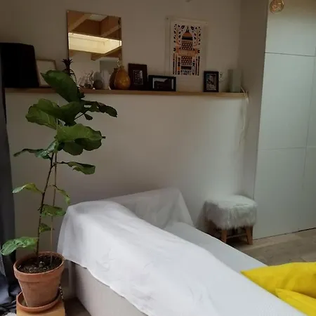 فندق Maison Hypercentre Calme, Terrasse, Garage, Poele